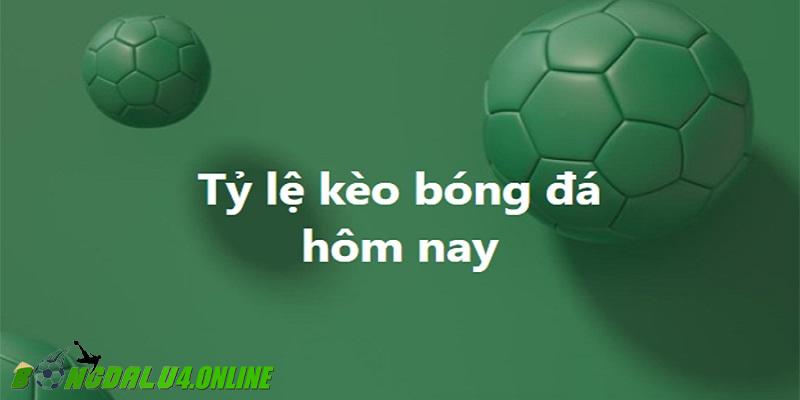 Tỷ Lệ Kèo Nhà Cái Chuẩn Xác Nhất Cùng Bongdalu4